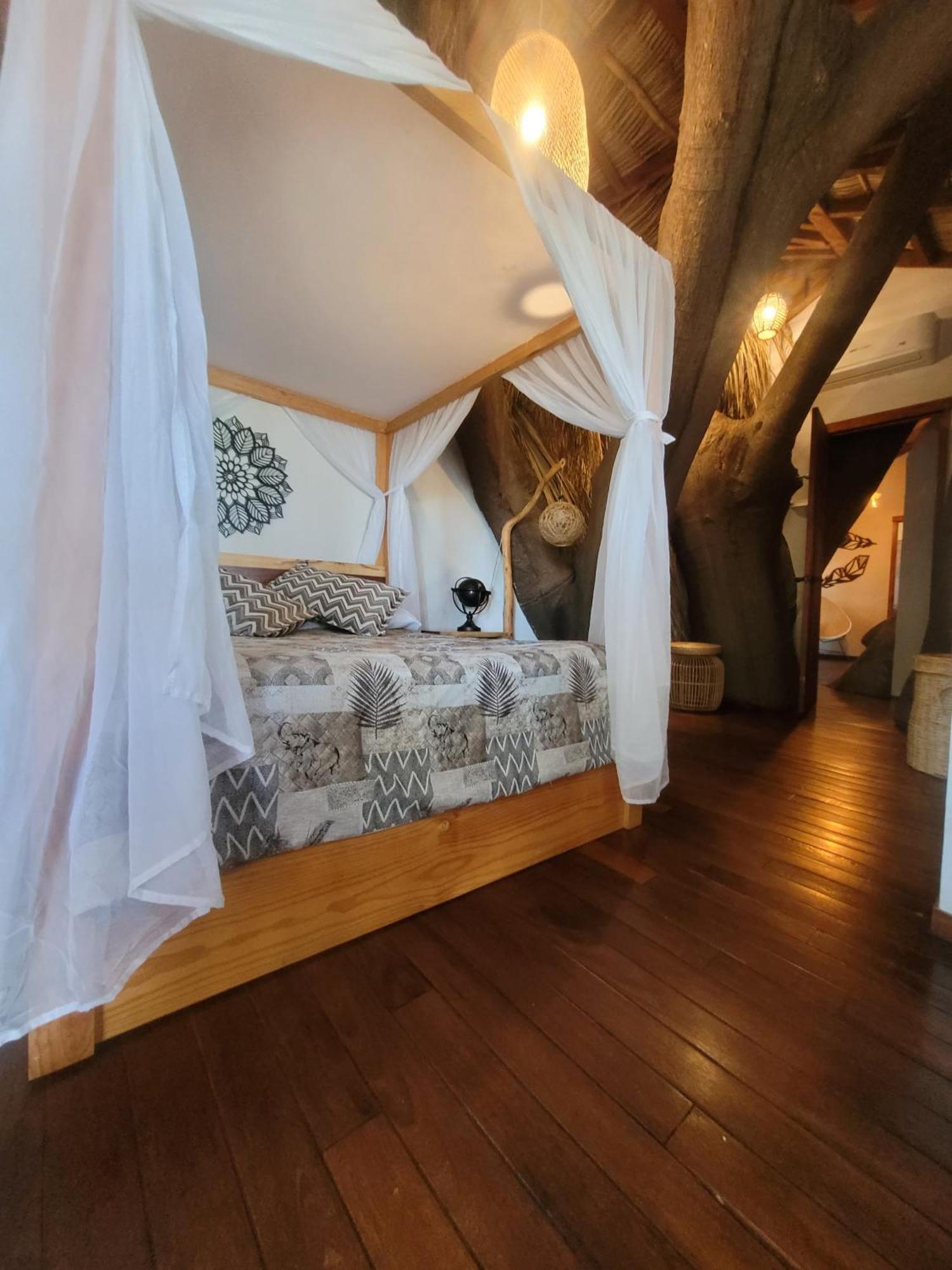 Nido Ecoluxury - Villa San Luis Boutique San Luis Soyatlán المظهر الخارجي الصورة